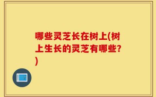 哪些灵芝长在树上(树上生长的灵芝有哪些？)