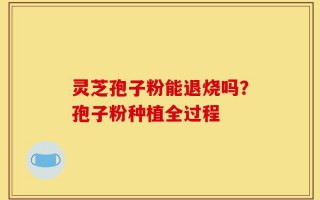 灵芝孢子粉能退烧吗？孢子粉种植全过程