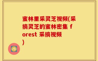蜜林里采灵芝视频(采摘灵芝的蜜林密集 forest 采摘视频)