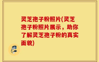 灵芝孢子粉照片(灵芝孢子粉照片展示，助你了解灵芝孢子粉的真实面貌)