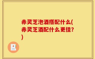 赤灵芝泡酒搭配什么(赤灵芝酒配什么更佳？)