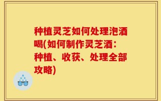 种植灵芝如何处理泡酒喝(如何制作灵芝酒：种植、收获、处理全部攻略)