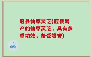 冠县仙草灵芝(冠县出产的仙草灵芝，具有多重功效，备受赞誉)