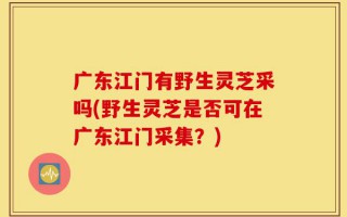 广东江门有野生灵芝采吗(野生灵芝是否可在广东江门采集？)