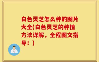 白色灵芝怎么种的图片大全(白色灵芝的种植方法详解，全程图文指导！)