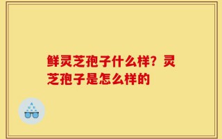 鲜灵芝孢子什么样？灵芝孢子是怎么样的
