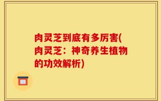 肉灵芝到底有多厉害(肉灵芝：神奇养生植物的功效解析)