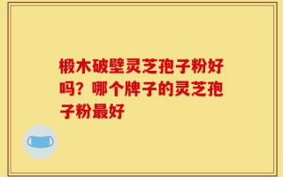 椴木破壁灵芝孢子粉好吗？哪个牌子的灵芝孢子粉最好