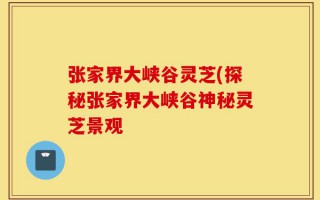 张家界大峡谷灵芝(探秘张家界大峡谷神秘灵芝景观