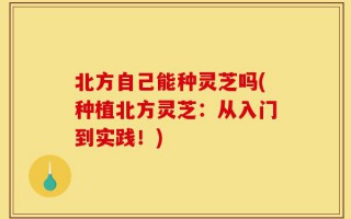 北方自己能种灵芝吗(种植北方灵芝：从入门到实践！)