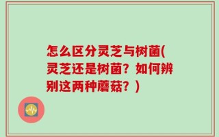 怎么区分灵芝与树菌(灵芝还是树菌？如何辨别这两种蘑菇？)
