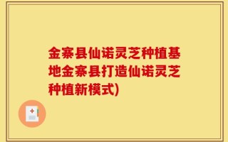 金寨县仙诺灵芝种植基地金寨县打造仙诺灵芝种植新模式)