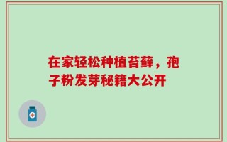 在家轻松种植苔藓，孢子粉发芽秘籍大公开