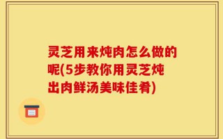 灵芝用来炖肉怎么做的呢(5步教你用灵芝炖出肉鲜汤美味佳肴)