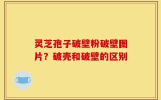 灵芝孢子破壁粉破壁图片？破壳和破壁的区别