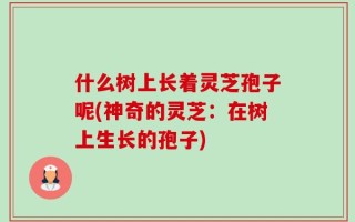 什么树上长着灵芝孢子呢(神奇的灵芝：在树上生长的孢子)