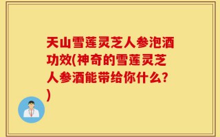 天山雪莲灵芝人参泡酒功效(神奇的雪莲灵芝人参酒能带给你什么？)