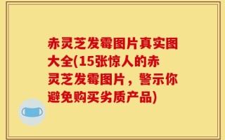 赤灵芝发霉图片真实图大全(15张惊人的赤灵芝发霉图片，警示你避免购买劣质产品)
