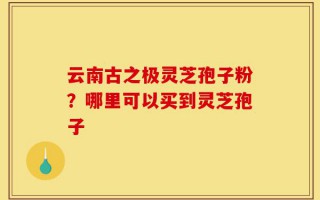 云南古之极灵芝孢子粉？哪里可以买到灵芝孢子