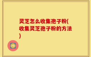 灵芝怎么收集孢子粉(收集灵芝孢子粉的方法)