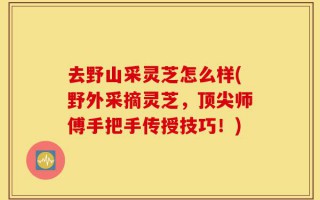 去野山采灵芝怎么样(野外采摘灵芝，顶尖师傅手把手传授技巧！)