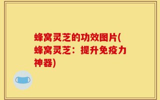蜂窝灵芝的功效图片(蜂窝灵芝：提升免疫力神器)