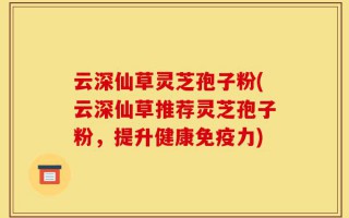 云深仙草灵芝孢子粉(云深仙草推荐灵芝孢子粉，提升健康免疫力)