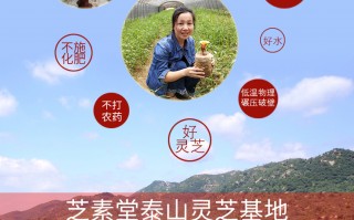 灵芝孢子粉正宗与否取决于灵芝种植地