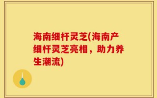 海南细杆灵芝(海南产细杆灵芝亮相，助力养生潮流)