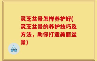 灵芝盆景怎样养护好(灵芝盆景的养护技巧及方法，助你打造美丽盆景)