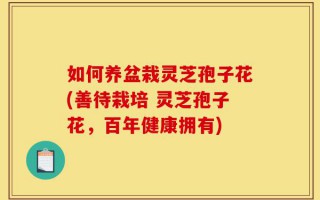 如何养盆栽灵芝孢子花(善待栽培 灵芝孢子花，百年健康拥有)