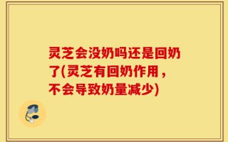 灵芝会没奶吗还是回奶了(灵芝有回奶作用，不会导致奶量减少)