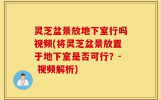 灵芝盆景放地下室行吗视频(将灵芝盆景放置于地下室是否可行？- 视频解析)