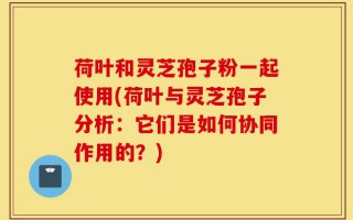 荷叶和灵芝孢子粉一起使用(荷叶与灵芝孢子分析：它们是如何协同作用的？)