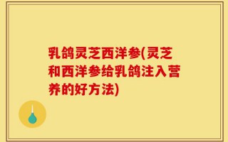 乳鸽灵芝西洋参(灵芝和西洋参给乳鸽注入营养的好方法)