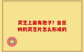 灵芝上面有孢子？金豆树的灵芝片怎么形成的