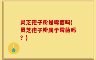 灵芝孢子粉是霉菌吗(灵芝孢子粉属于霉菌吗？)