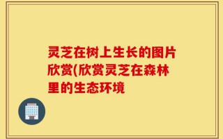 灵芝在树上生长的图片欣赏(欣赏灵芝在森林里的生态环境