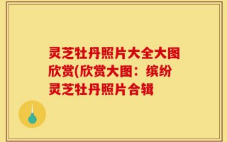 灵芝牡丹照片大全大图欣赏(欣赏大图：缤纷灵芝牡丹照片合辑