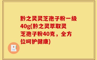 黔之灵灵芝孢子粉一级40g(黔之灵萃取灵芝孢子粉40克，全方位呵护健康)