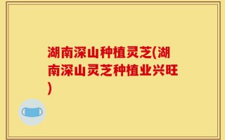 湖南深山种植灵芝(湖南深山灵芝种植业兴旺)