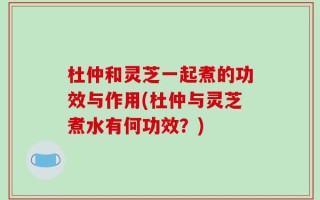 杜仲和灵芝一起煮的功效与作用(杜仲与灵芝煮水有何功效？)
