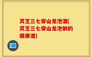 灵芝三七穿山龙泡酒(灵芝三七穿山龙泡制的健康酒)