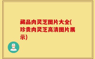 藏品肉灵芝图片大全(珍贵肉灵芝高清图片展示)