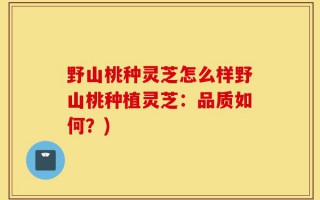 野山桃种灵芝怎么样野山桃种植灵芝：品质如何？)