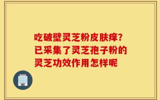 吃破壁灵芝粉皮肤痒？已采集了灵芝孢子粉的灵芝功效作用怎样呢