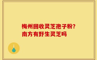 梅州回收灵芝孢子粉？南方有野生灵芝吗