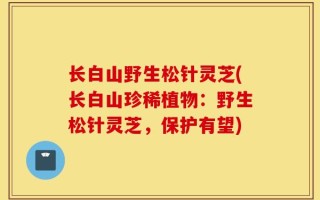 长白山野生松针灵芝(长白山珍稀植物：野生松针灵芝，保护有望)