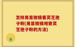 怎样用显微镜看灵芝孢子粉(用显微镜观察灵芝孢子粉的方法)
