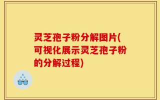 灵芝孢子粉分解图片(可视化展示灵芝孢子粉的分解过程)